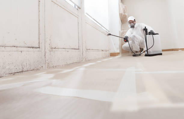 24/7 Emergency Mold Remediation experts in Martinsville, NJ